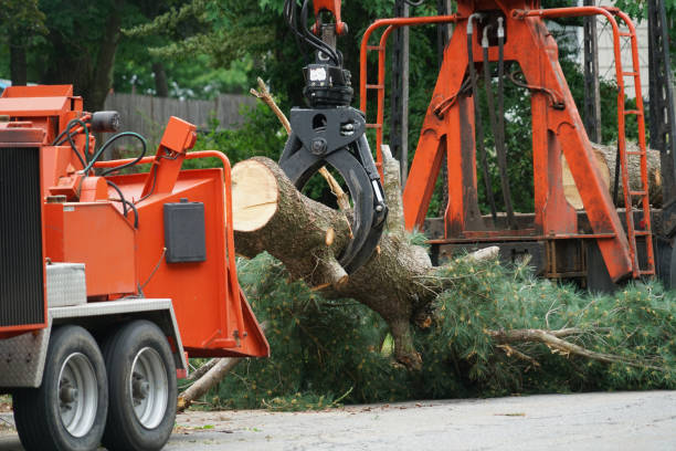 Leaf Removal in Deatsville, AL